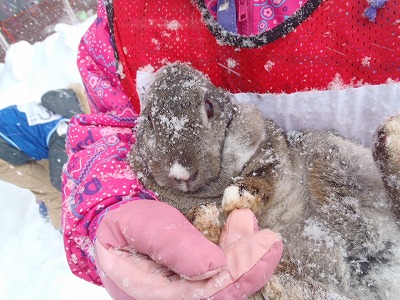 2-22ウサちゃん抱っこ.jpg